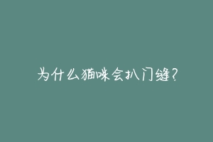 为什么猫咪会扒门缝？