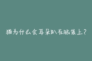 猫为什么会耳朵趴在脑袋上？