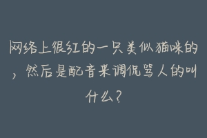 网络上很红的一只类似猫咪的，然后是配音来调侃骂人的叫什么？