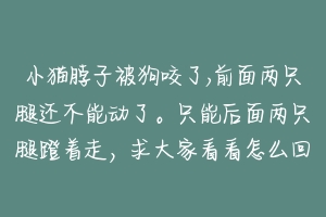 小猫脖子被狗咬了,前面两只腿还不能动了。只能后面两只腿蹬着走，求大家看看怎么回事？