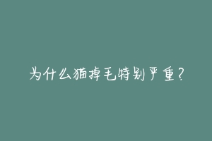 为什么猫掉毛特别严重？