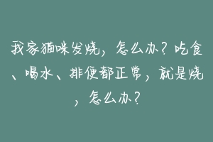 我家猫咪发烧，怎么办？吃食、喝水、排便都正常，就是烧，怎么办？