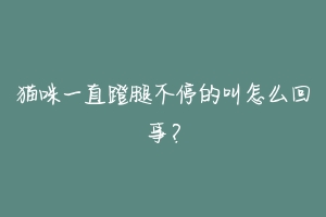 猫咪一直蹬腿不停的叫怎么回事？