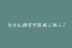 为什么猫突然很粘人舔人？