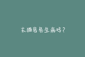 玄猫容易生病吗？