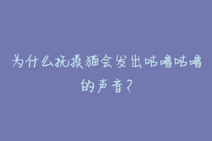 为什么抚摸猫会发出咕噜咕噜的声音？