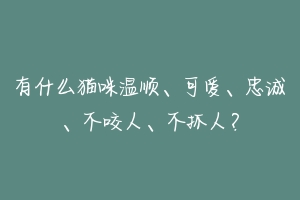 有什么猫咪温顺、可爱、忠诚、不咬人、不抓人？