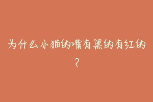 为什么小猫的嘴有黑的有红的？