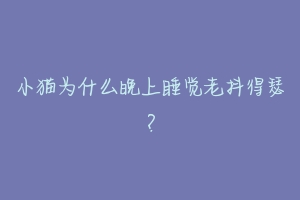 小猫为什么晚上睡觉老抖得瑟？