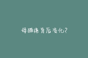 母猫绝育后变化？