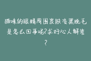 猫咪的眼睛周围皮肤变黑脱毛是怎么回事呢?求好心人解答？