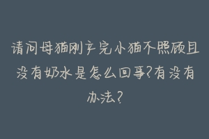 请问母猫刚产完小猫不照顾且没有奶水是怎么回事?有没有办法？