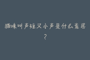 猫咪叫声短又小声是什么意思？