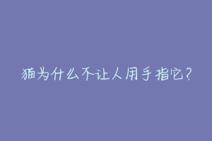 猫为什么不让人用手指它？