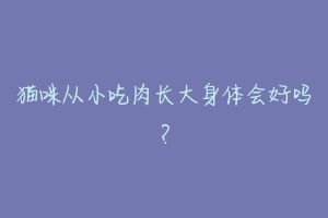 猫咪从小吃肉长大身体会好吗？