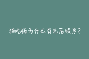 猫吃饭为什么有先后顺序？