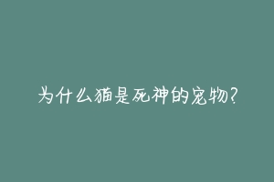 为什么猫是死神的宠物？