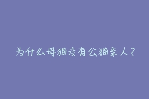 为什么母猫没有公猫亲人？