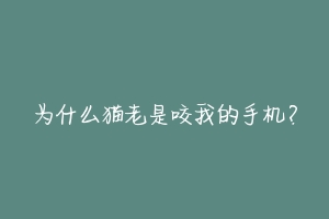 为什么猫老是咬我的手机？