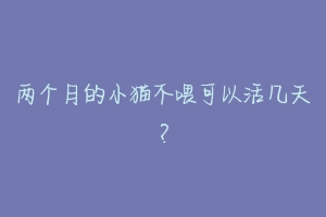 两个月的小猫不喂可以活几天？