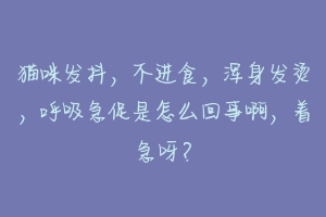 猫咪发抖，不进食，浑身发烫，呼吸急促是怎么回事啊，着急呀？