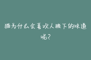 猫为什么会喜欢人腋下的味道呢？