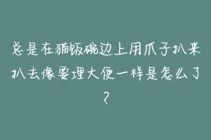 总是在猫饭碗边上用爪子扒来扒去像要埋大便一样是怎么了？