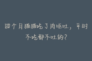 四个月猫猫吃了肉呕吐，平时不吃都不吐的？