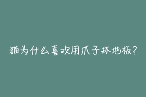 猫为什么喜欢用爪子抓地板？