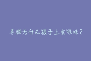 养猫为什么被子上会吸味？