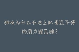 猫咪为什么在地上趴着还不停的用力蹬后腿？