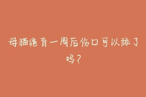 母猫绝育一周后伤口可以舔了吗？