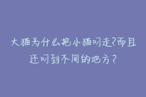 大猫为什么把小猫叼走?而且还叼到不同的地方？