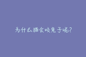 为什么猫会咬兔子呢？