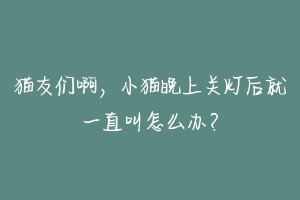 猫友们啊，小猫晚上关灯后就一直叫怎么办？