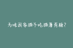 为啥我家猫不吃猫薄荷糖？