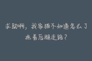 求助啊，我家猫不知道怎么了拖着后腿走路？