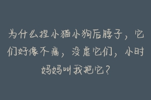 为什么捏小猫小狗后脖子，它们好像不痛，没虐它们，小时妈妈叫我把它？