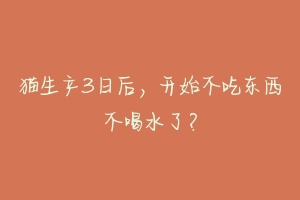 猫生产3日后，开始不吃东西不喝水了？