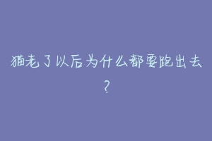 猫老了以后为什么都要跑出去？