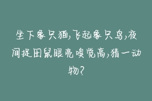 坐下象只猫,飞起象只鸟,夜间捉田鼠眼亮嗅觉高,猜一动物？