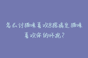 怎么讨猫咪喜欢8招搞定猫咪喜欢你的怀抱？