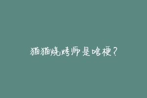 猫猫烧烤师是啥梗？