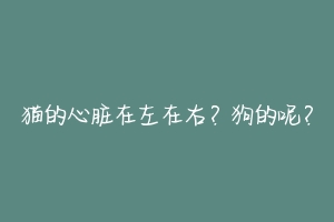 猫的心脏在左在右？狗的呢？