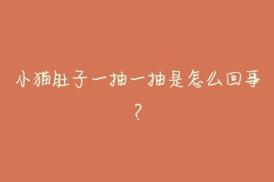 小猫肚子一抽一抽是怎么回事？