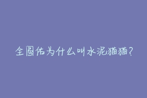 全圆佑为什么叫水泥猫猫？