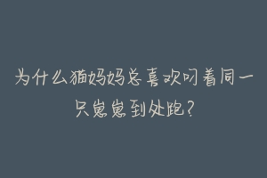 为什么猫妈妈总喜欢叼着同一只崽崽到处跑？