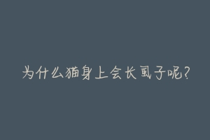 为什么猫身上会长虱子呢？