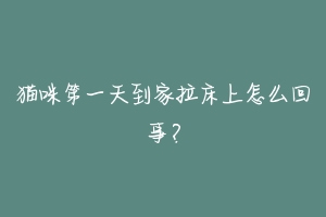 猫咪第一天到家拉床上怎么回事？