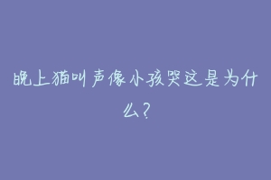 晚上猫叫声像小孩哭这是为什么？